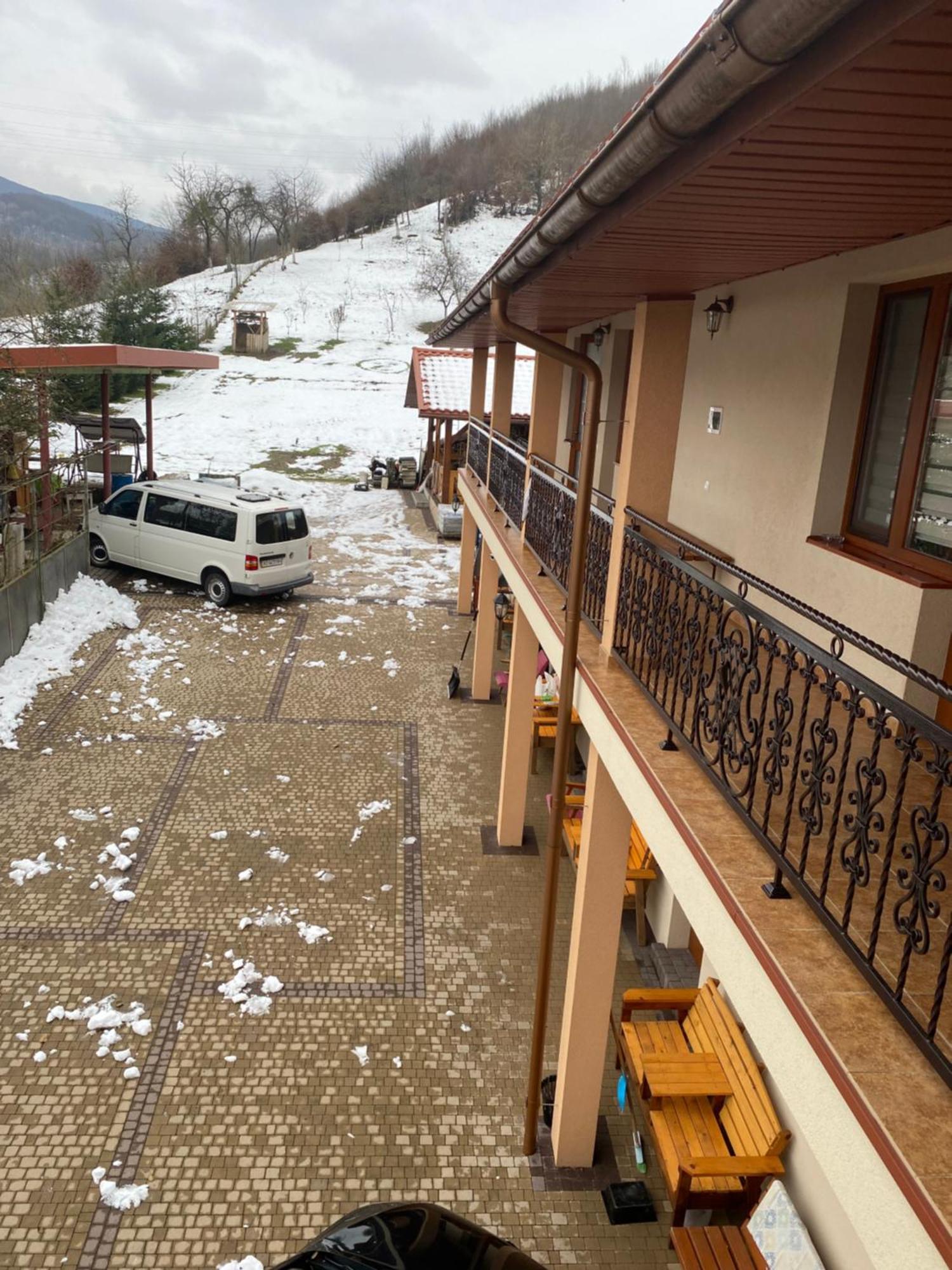 Садиба У Дохтора Відпочинок У Карпатах Golubinoye Exterior photo